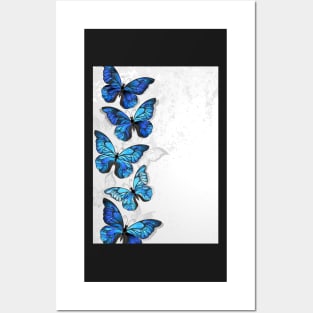 Design with Blue Butterflies Morpho Posters and Art